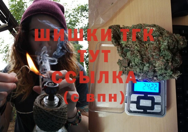 хмурый Тавда