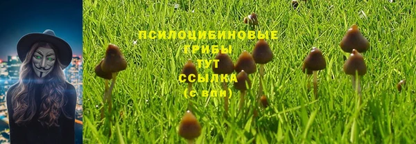 jwh Бугульма