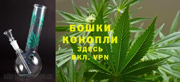 каннабис Бородино