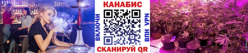 Бошки марихуана марихуана  купить наркоту  Кировск 